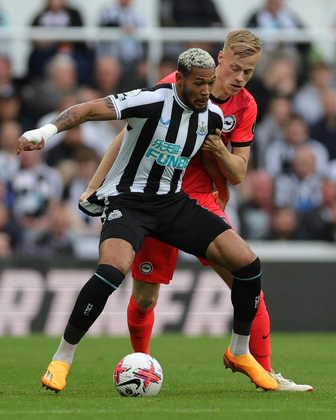 歌猛进夺得 歌猛进夺得